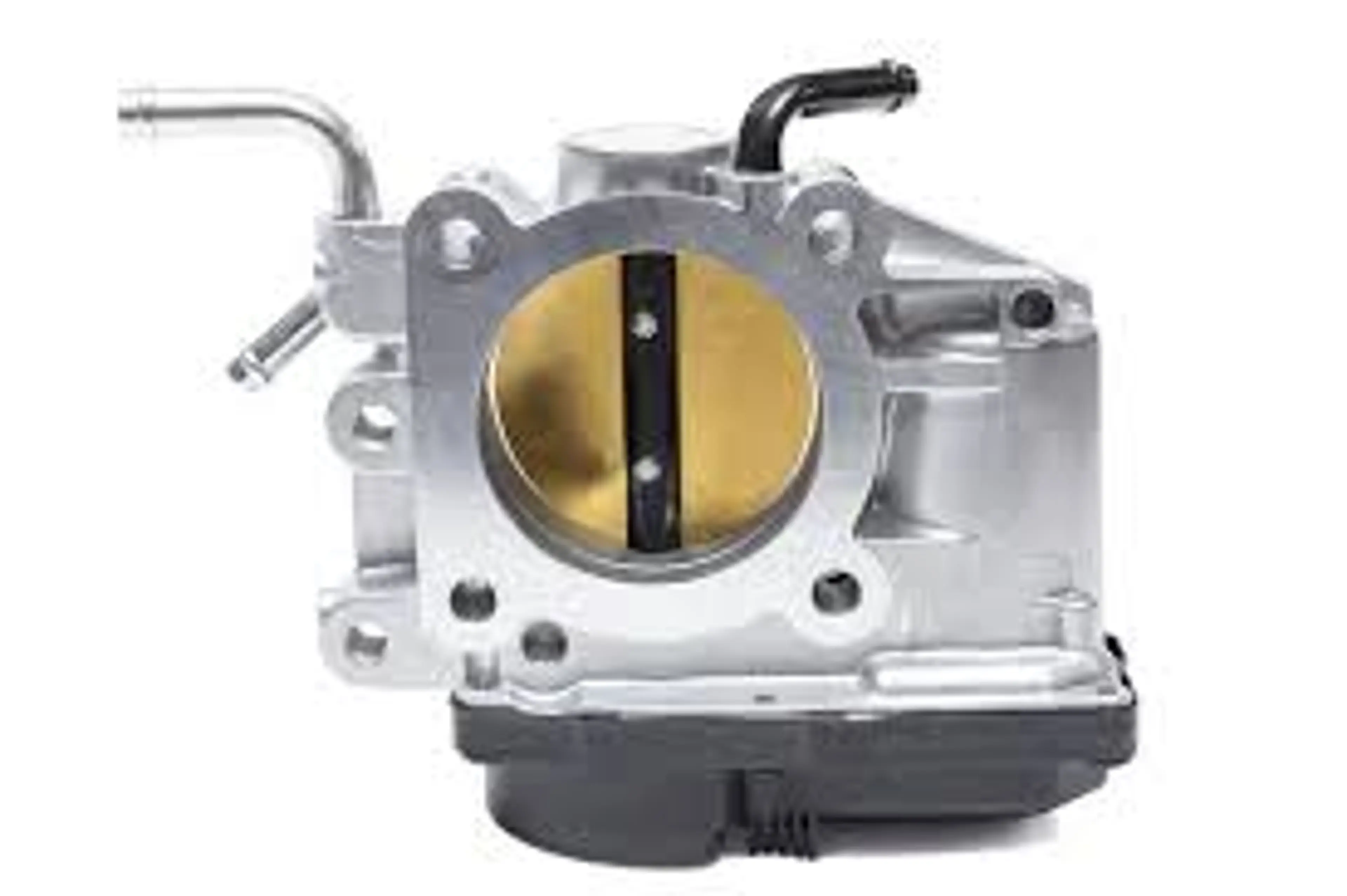 MARIPOSA DE ADMISION