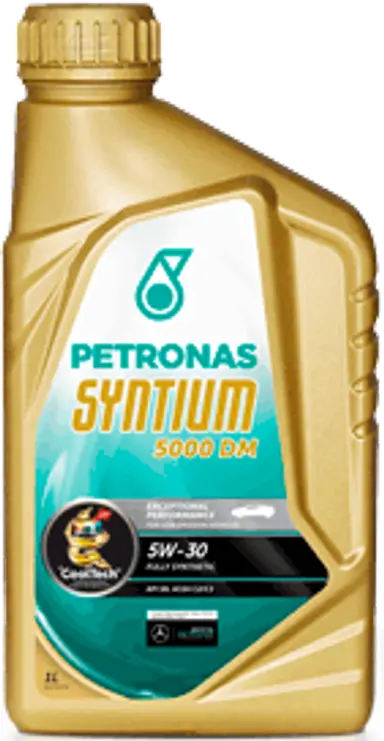 SYNTIUM 5000 DM 5W30 (C2/C3)